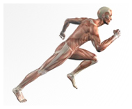Running Injuries